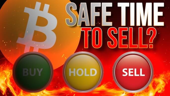 Should I Sell, Hold, or Buy More