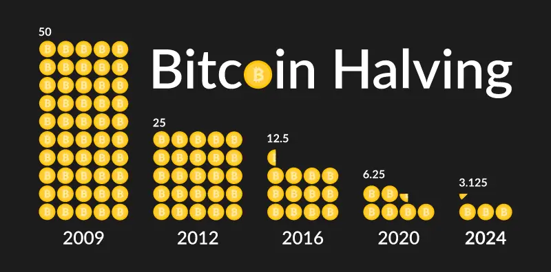 Bitcoin halving cycle